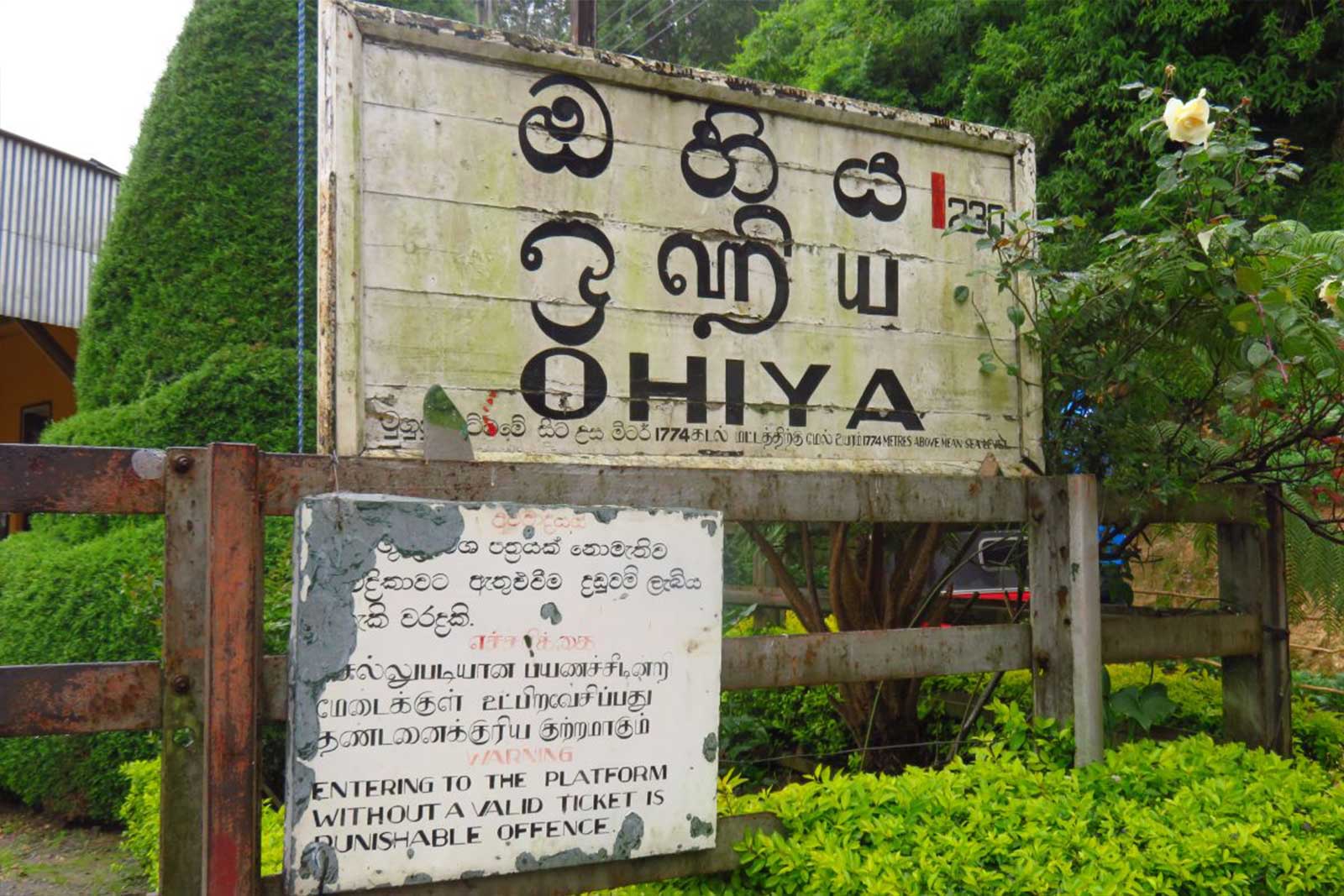 Ohiya Village