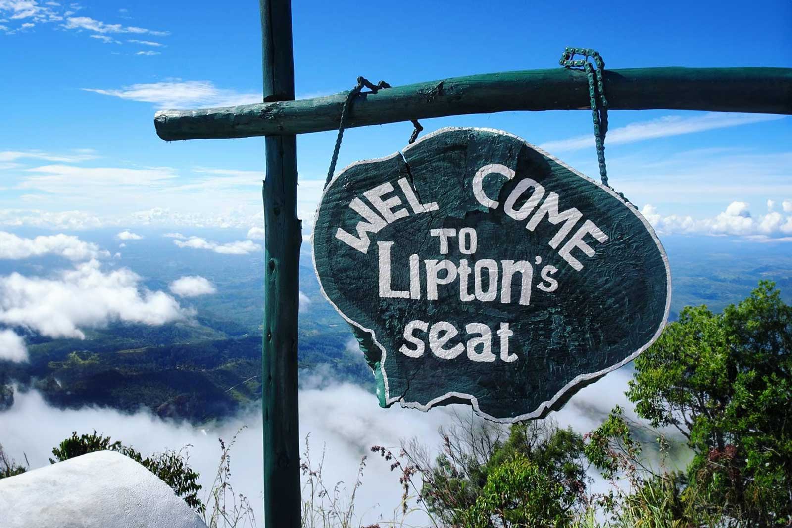 Lipton Seat